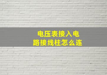 电压表接入电路接线柱怎么连