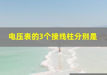 电压表的3个接线柱分别是