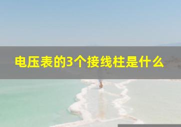 电压表的3个接线柱是什么