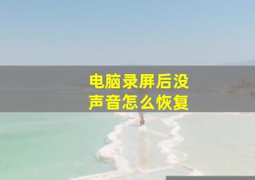 电脑录屏后没声音怎么恢复