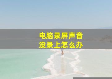 电脑录屏声音没录上怎么办