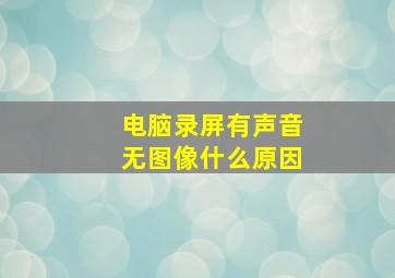 电脑录屏有声音无图像什么原因