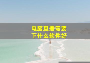 电脑直播需要下什么软件好