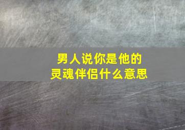 男人说你是他的灵魂伴侣什么意思