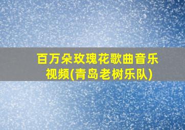 百万朵玫瑰花歌曲音乐视频(青岛老树乐队)