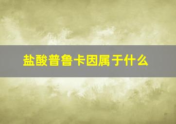 盐酸普鲁卡因属于什么