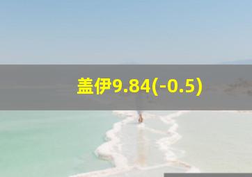 盖伊9.84(-0.5)