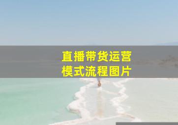 直播带货运营模式流程图片