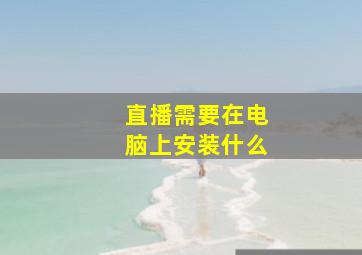 直播需要在电脑上安装什么