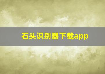 石头识别器下载app