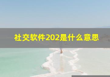 社交软件202是什么意思