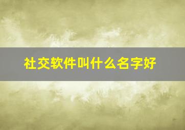 社交软件叫什么名字好