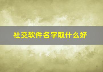 社交软件名字取什么好