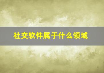 社交软件属于什么领域