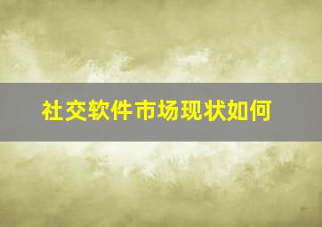 社交软件市场现状如何