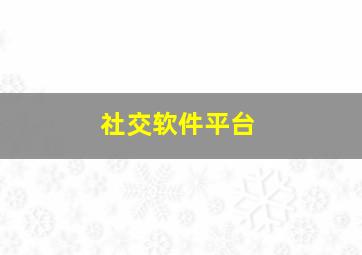 社交软件平台