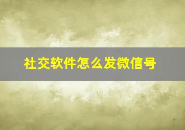 社交软件怎么发微信号