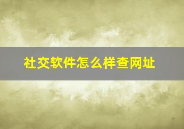 社交软件怎么样查网址