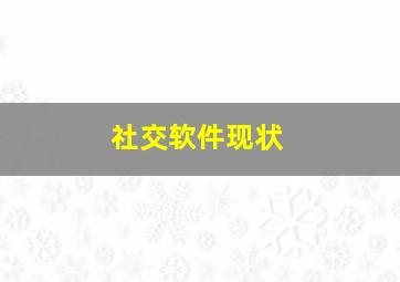 社交软件现状