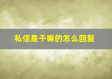 私信是干嘛的怎么回复