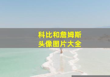 科比和詹姆斯头像图片大全