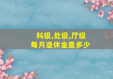 科级,处级,厅级每月退休金是多少