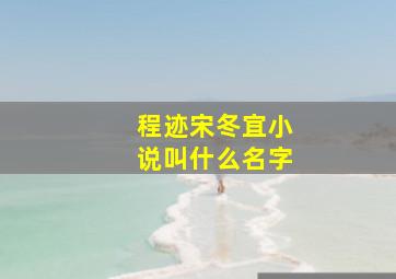 程迹宋冬宜小说叫什么名字