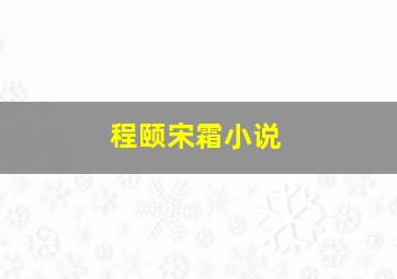 程颐宋霜小说