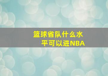 篮球省队什么水平可以进NBA