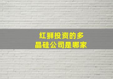 红狮投资的多晶硅公司是哪家