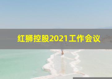 红狮控股2021工作会议