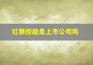 红狮控股是上市公司吗