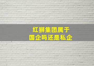 红狮集团属于国企吗还是私企