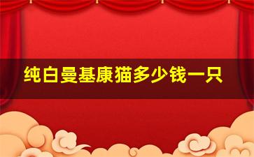 纯白曼基康猫多少钱一只