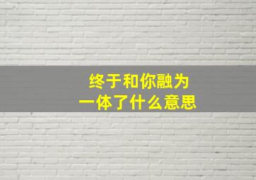 终于和你融为一体了什么意思