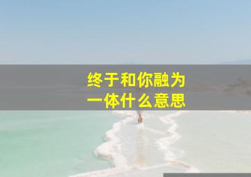 终于和你融为一体什么意思