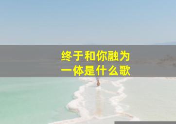 终于和你融为一体是什么歌