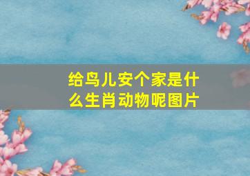 给鸟儿安个家是什么生肖动物呢图片