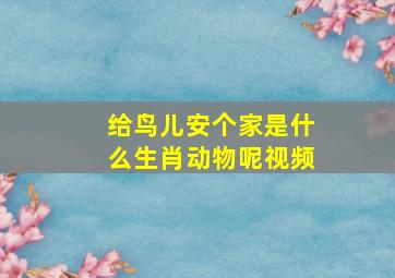 给鸟儿安个家是什么生肖动物呢视频