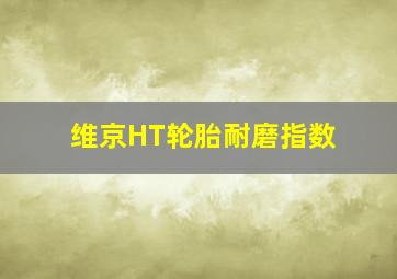 维京HT轮胎耐磨指数