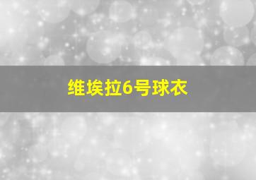 维埃拉6号球衣