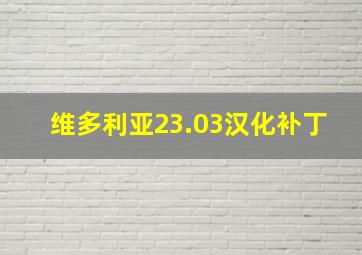 维多利亚23.03汉化补丁