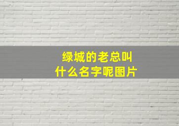 绿城的老总叫什么名字呢图片