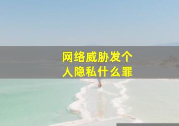 网络威胁发个人隐私什么罪