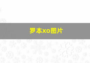 罗本xo图片