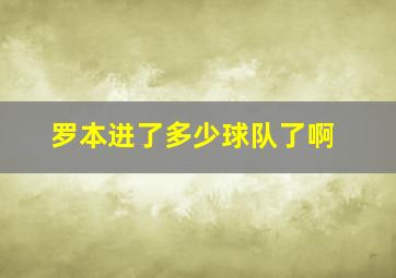 罗本进了多少球队了啊