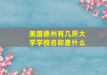 美国德州有几所大学学校名称是什么