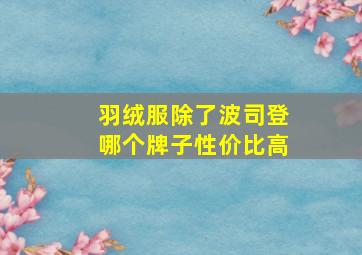 羽绒服除了波司登哪个牌子性价比高