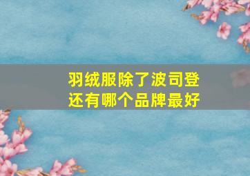 羽绒服除了波司登还有哪个品牌最好