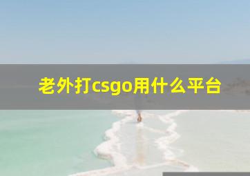 老外打csgo用什么平台